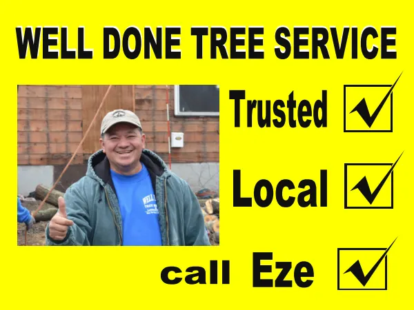 Trusted yard maintenance for outdoor upgrades in Kenilworth, NJ by Well Done Tree Service