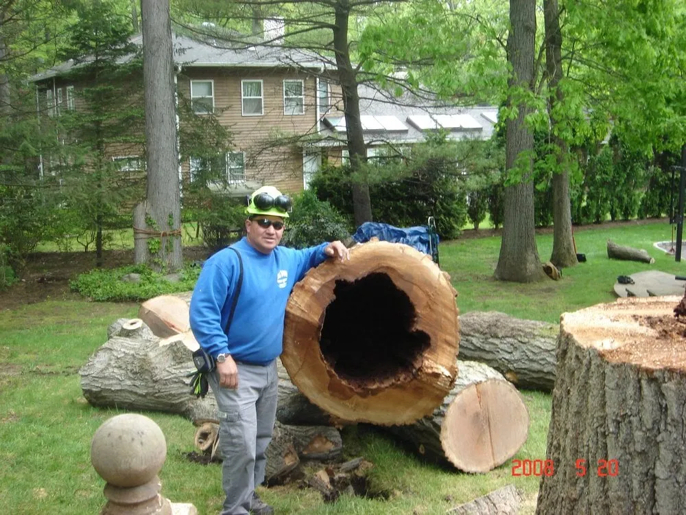 Affordable landscape design in Kenilworth, NJ by Well Done Tree Service