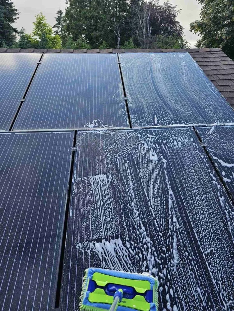 Professional garden landscaping in Vancouver, WA by Well Groomed Yard