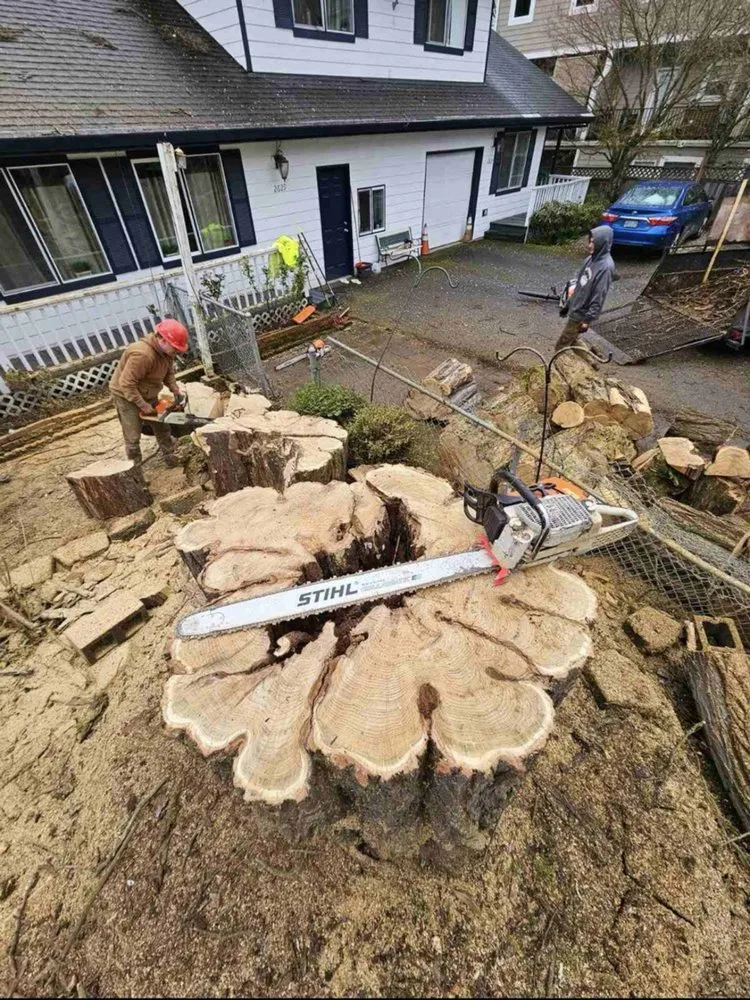 Trusted outdoor landscaping for year-round maintenance in Vancouver, WA by Well Groomed Yard