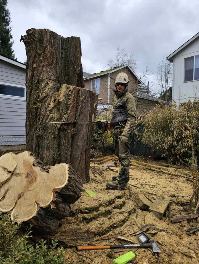 Expert yard maintenance for residential properties across Vancouver, WA - Well Groomed Yard