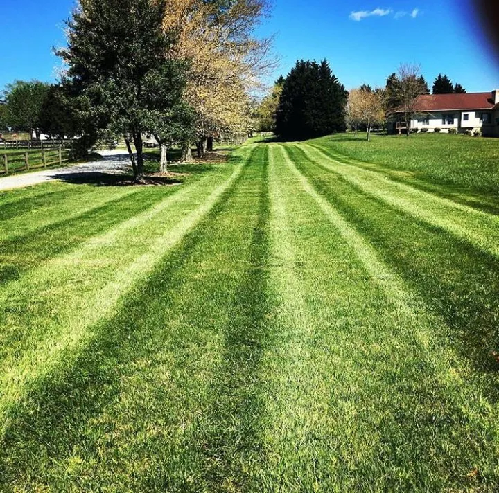 Trusted yard cleanup service for residential properties across Monsey, NY - Well kept Grounds