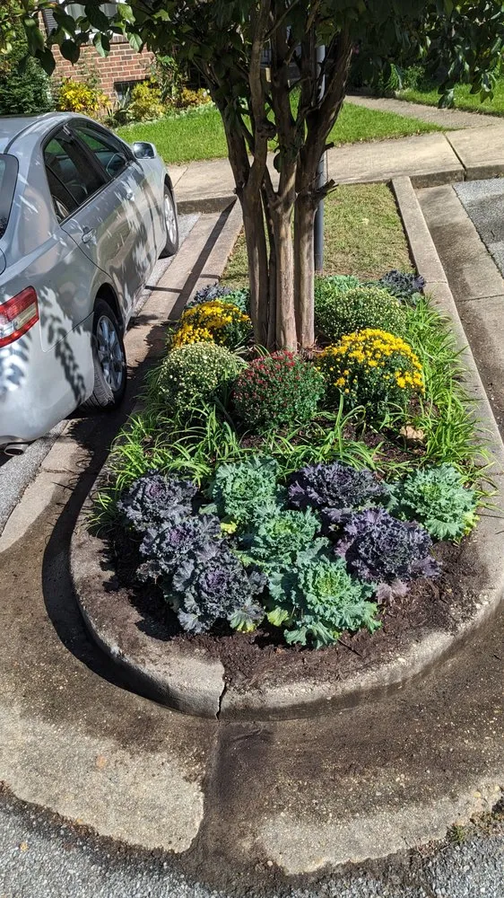 Top-rated lawn care service for homes in Bladensburg, MD by Well-Kept Lawns