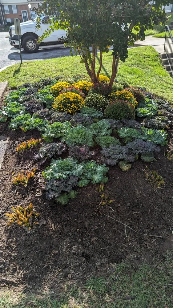 Custom yard cleanup service experts serving Bladensburg, MD - Well-Kept Lawns