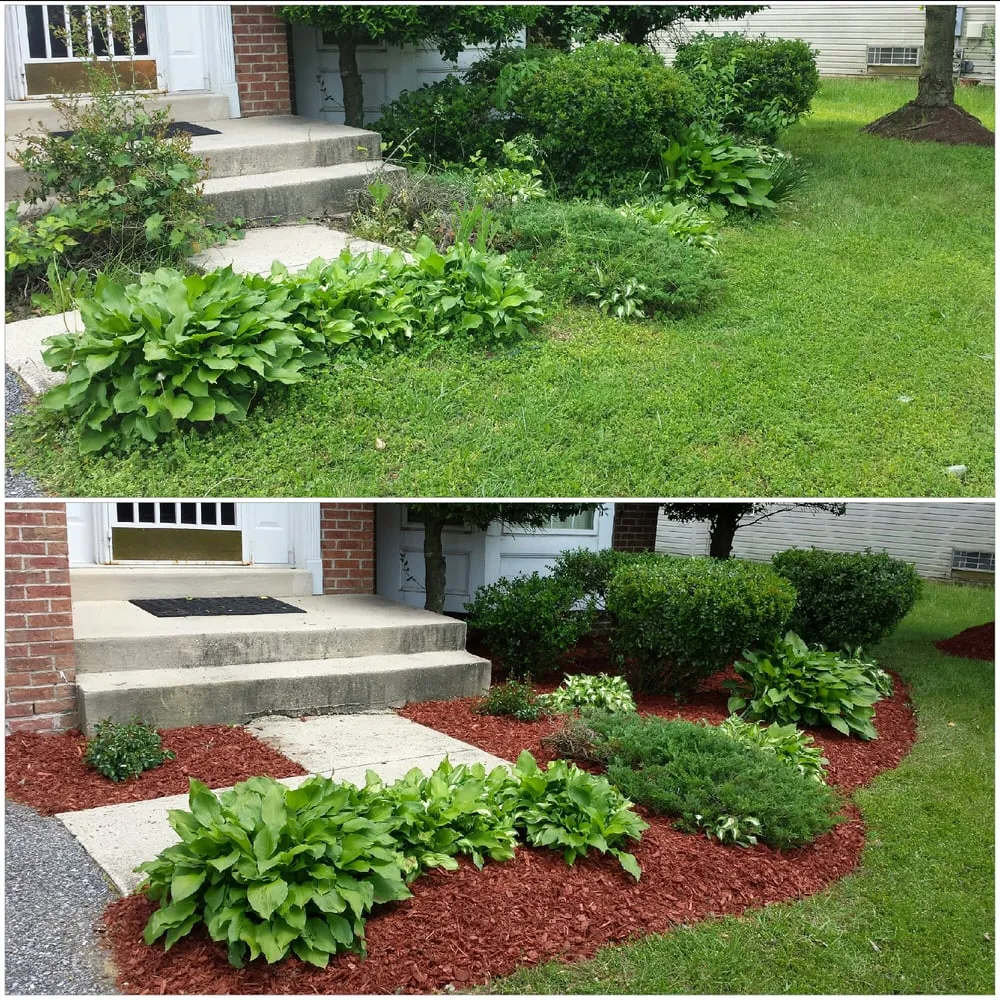Professional residential landscaping in Bladensburg, MD - Well-Kept Lawns