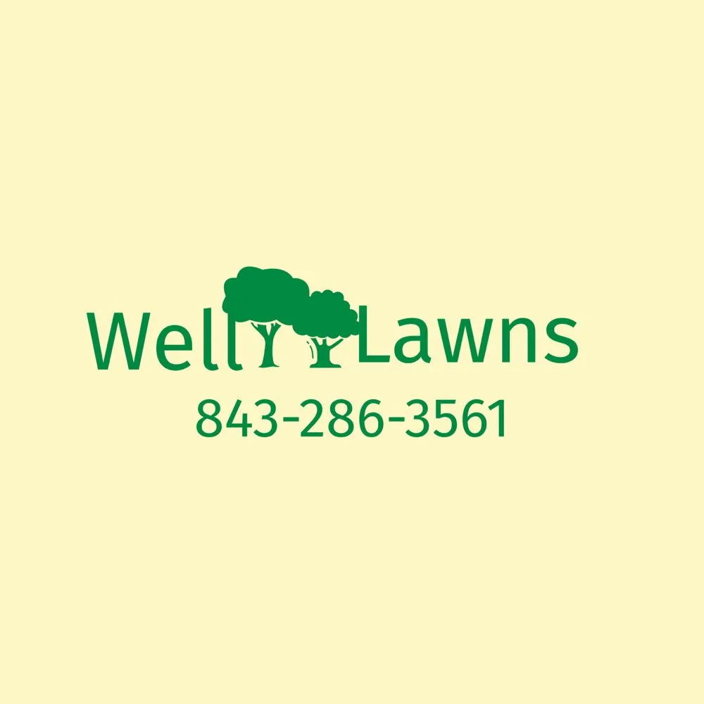 Top-rated landscaping services in Killeen, TX - Well Lawns