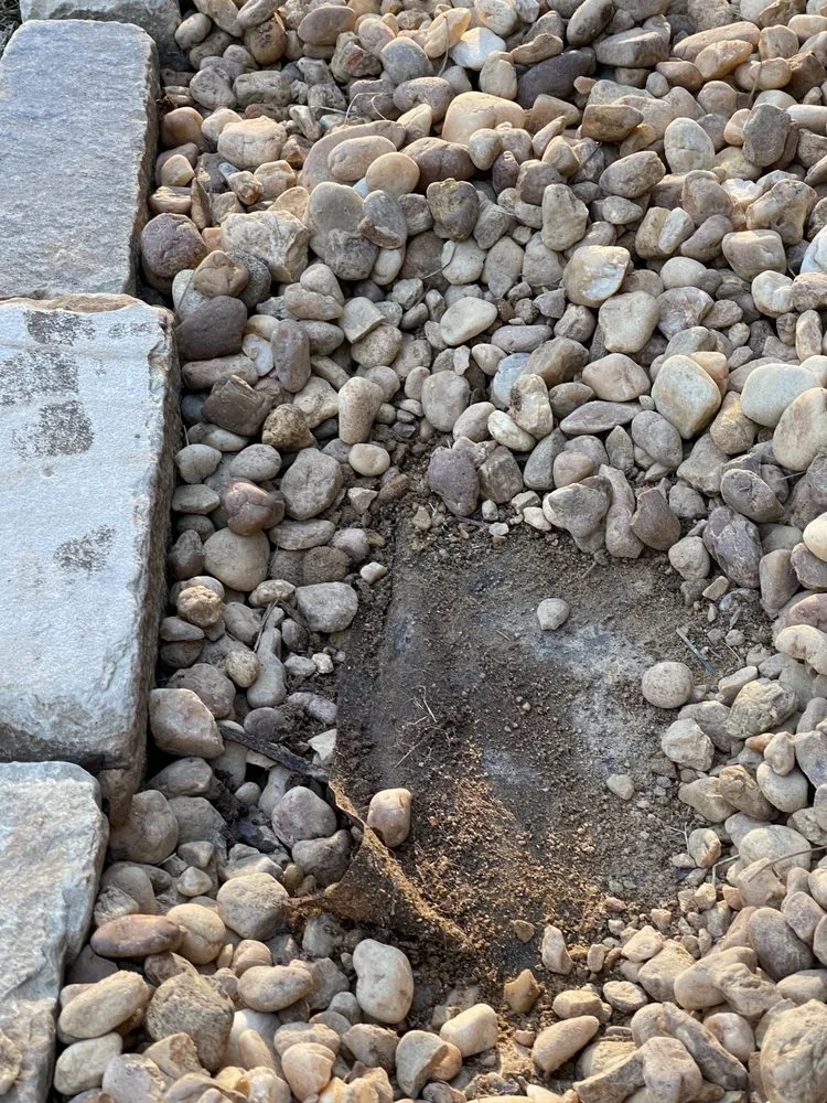 Local lawn care service in Marietta, GA by Well Planted