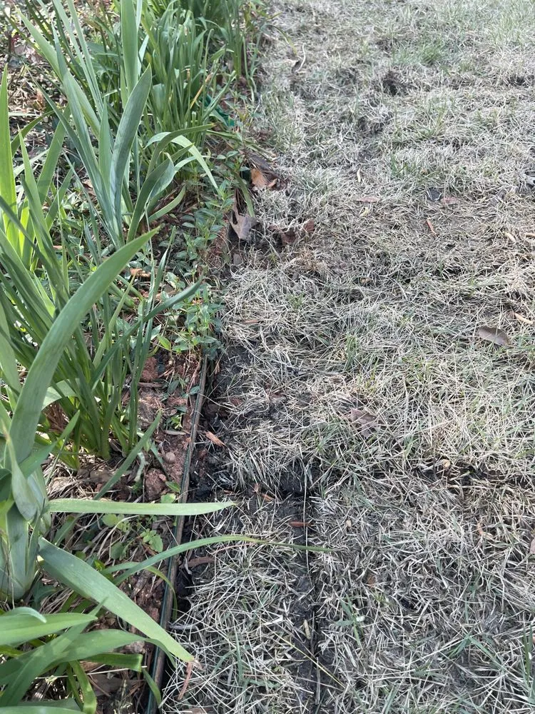 Local outdoor landscaping experts serving Marietta, GA - Well Planted