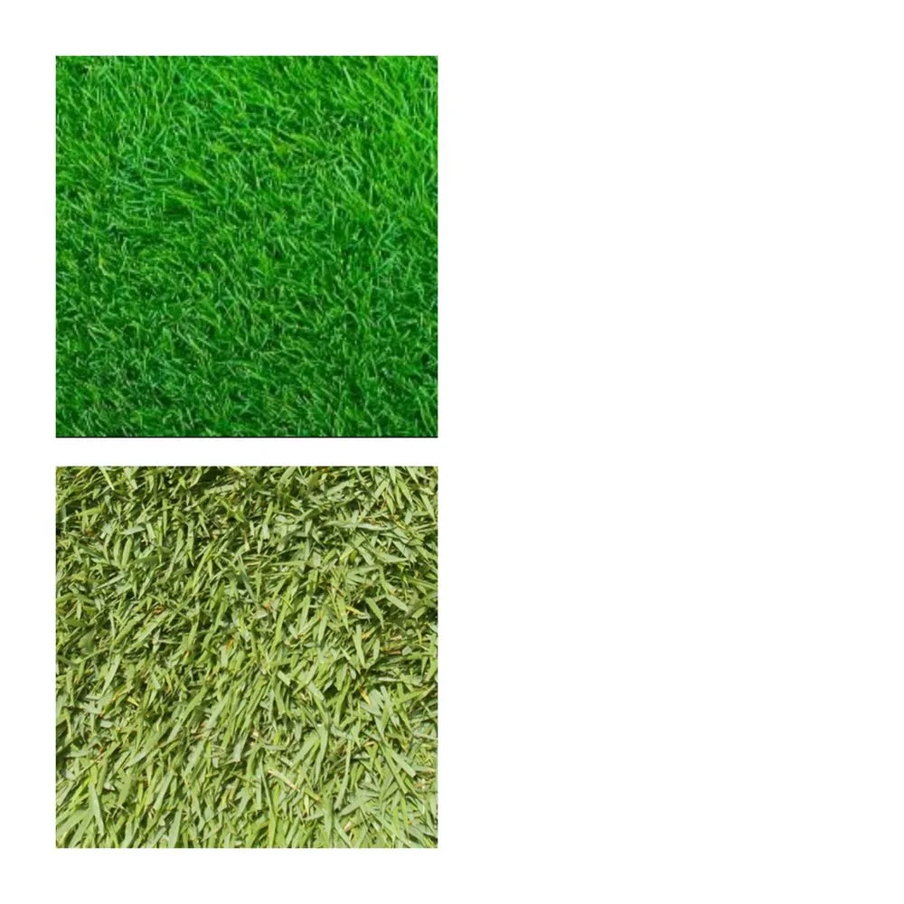 Professional garden landscaping for year-round maintenance in Marietta, GA by Well Planted