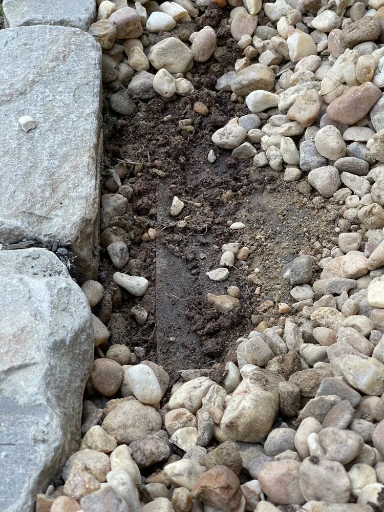 Top-rated lawn mowing service for beautiful yards in Marietta, GA by Well Planted