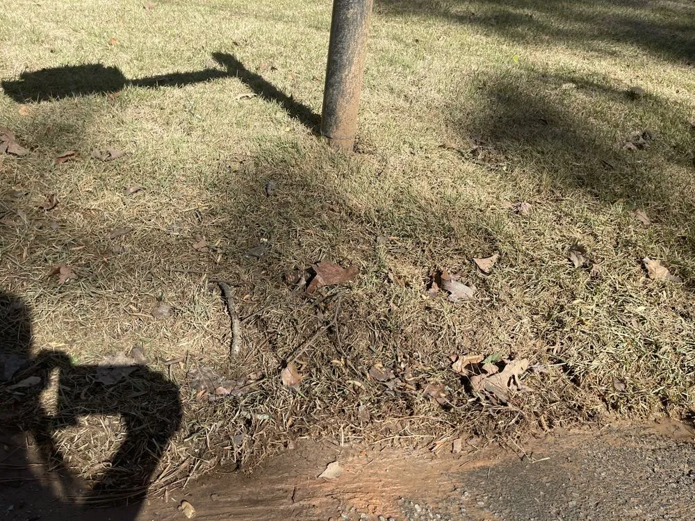 Reliable yard maintenance in Marietta, GA - Well Planted