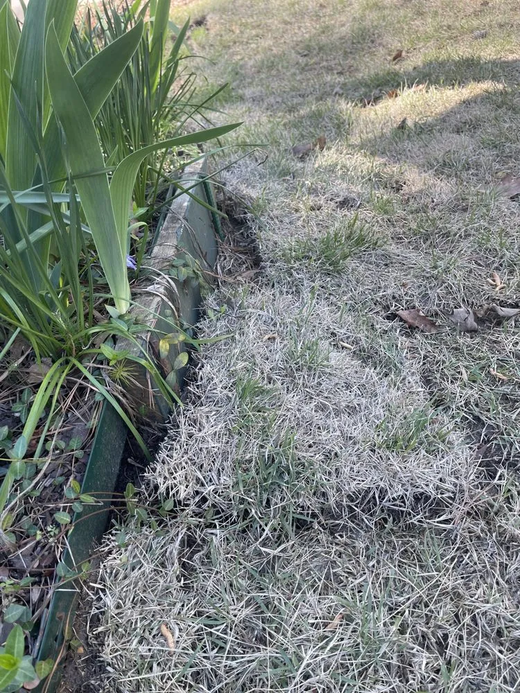 Expert garden landscaping experts serving Marietta, GA - Well Planted