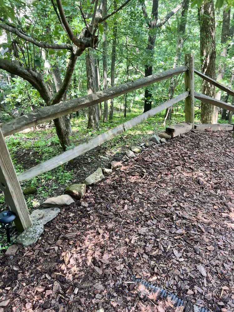 Professional outdoor landscaping in Marietta, GA - Well Rooted ATL