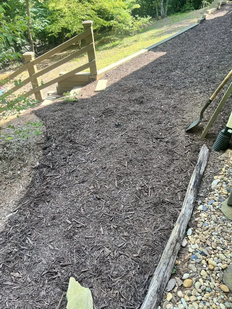 Expert yard cleanup service for residential properties across Marietta, GA - Well Rooted ATL