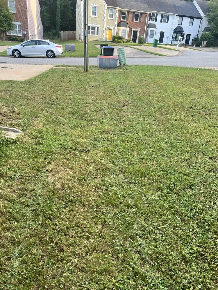 Reliable outdoor landscaping in Marietta, GA - Well Rooted ATL