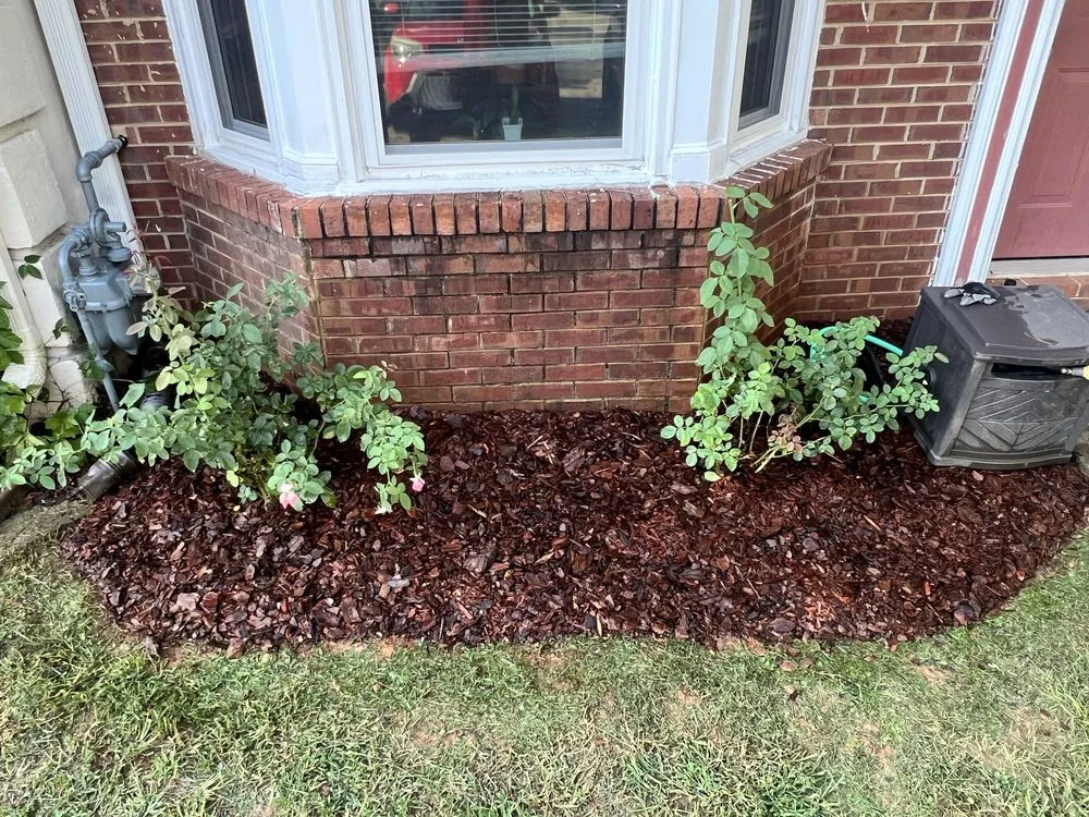 Top-rated landscaping services in Marietta, GA by Well Rooted ATL