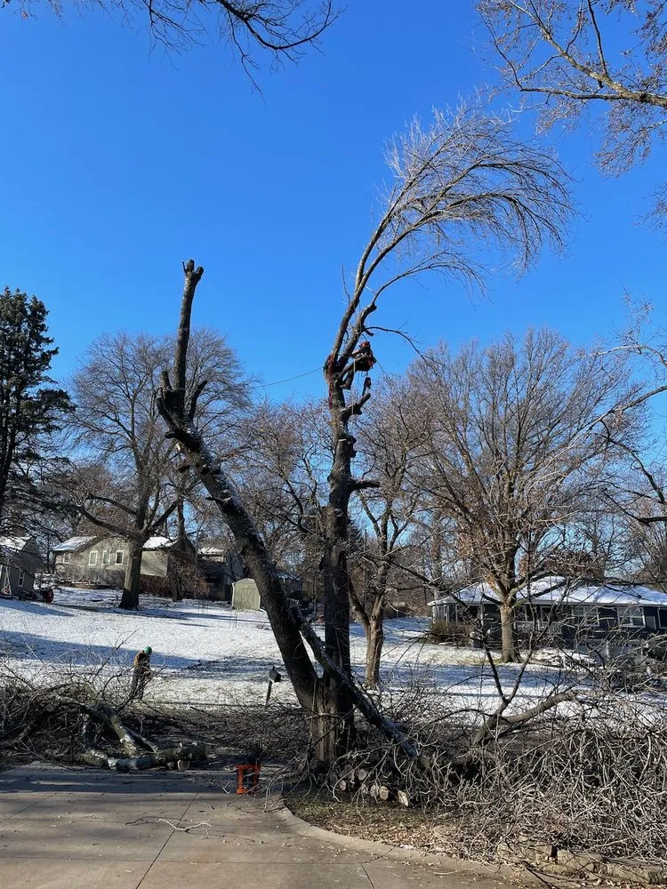 Affordable outdoor landscaping experts serving Omaha, NE - Well Rooted Gardens