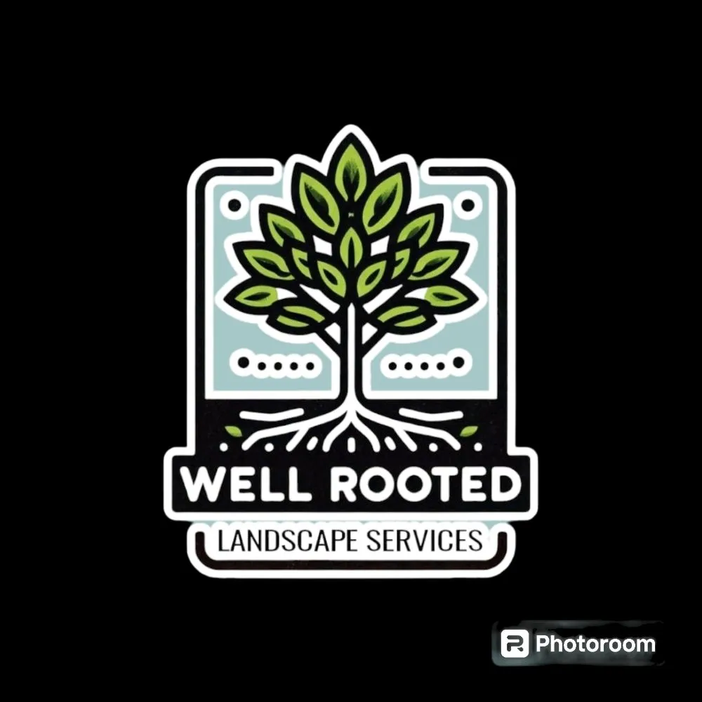 Top-rated yard cleanup service in Albuquerque, NM - Well Rooted Landscape Services