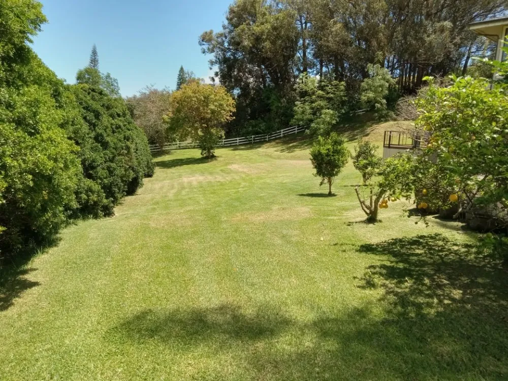 Expert yard maintenance for residential properties across Makawao, HI - Wellers Landscape & Construction
