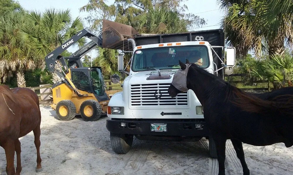 Top-rated residential landscaping for homes across West Palm Beach, FL - Wellington Agricultural Services