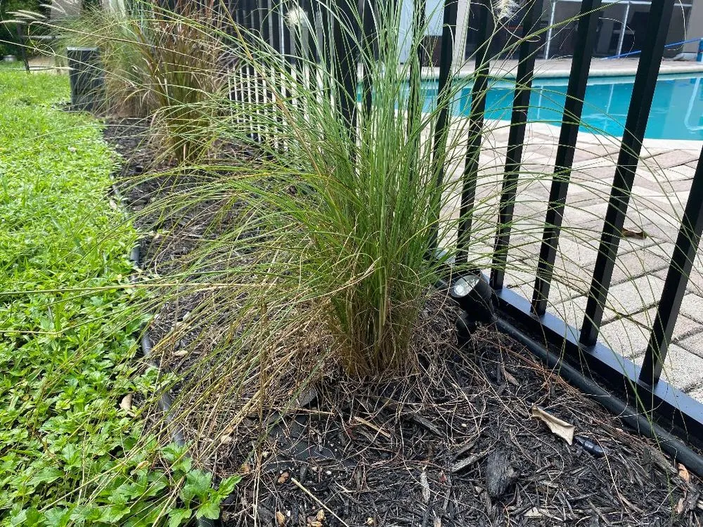 Top-rated landscape installation for outdoor upgrades across Wellington, FL - Wellington Landscape Lighting