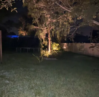 Reliable yard cleanup service in Wellington, FL - Wellington Landscape Lighting