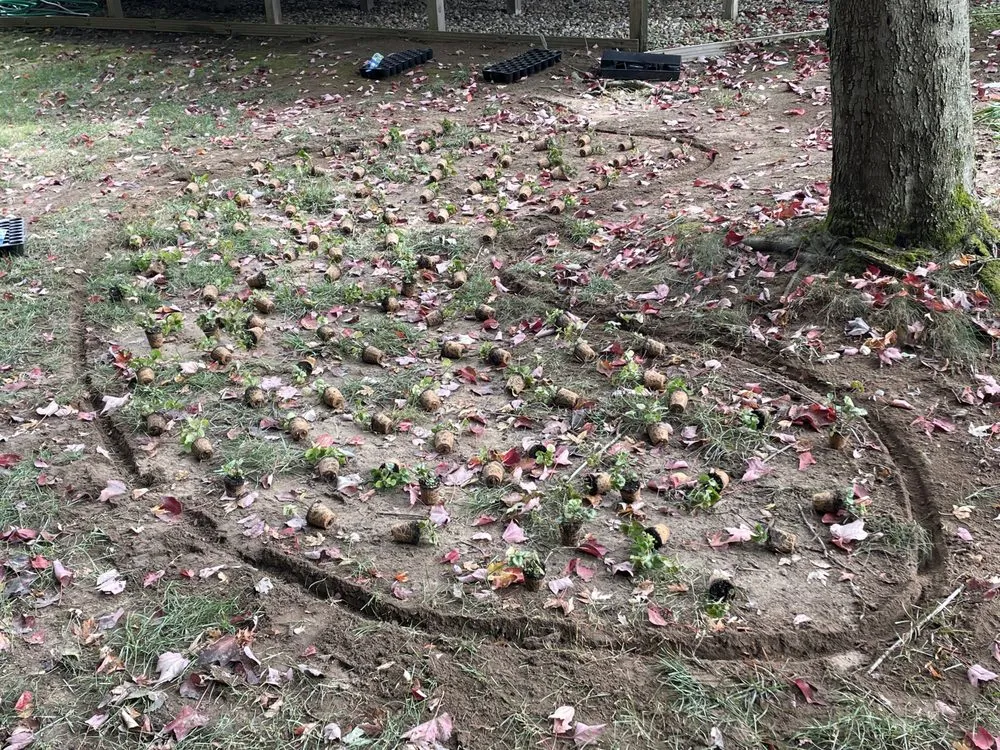 Top-rated yard maintenance for residential properties in Stanwood, MI by Wellman Yard And Home Services