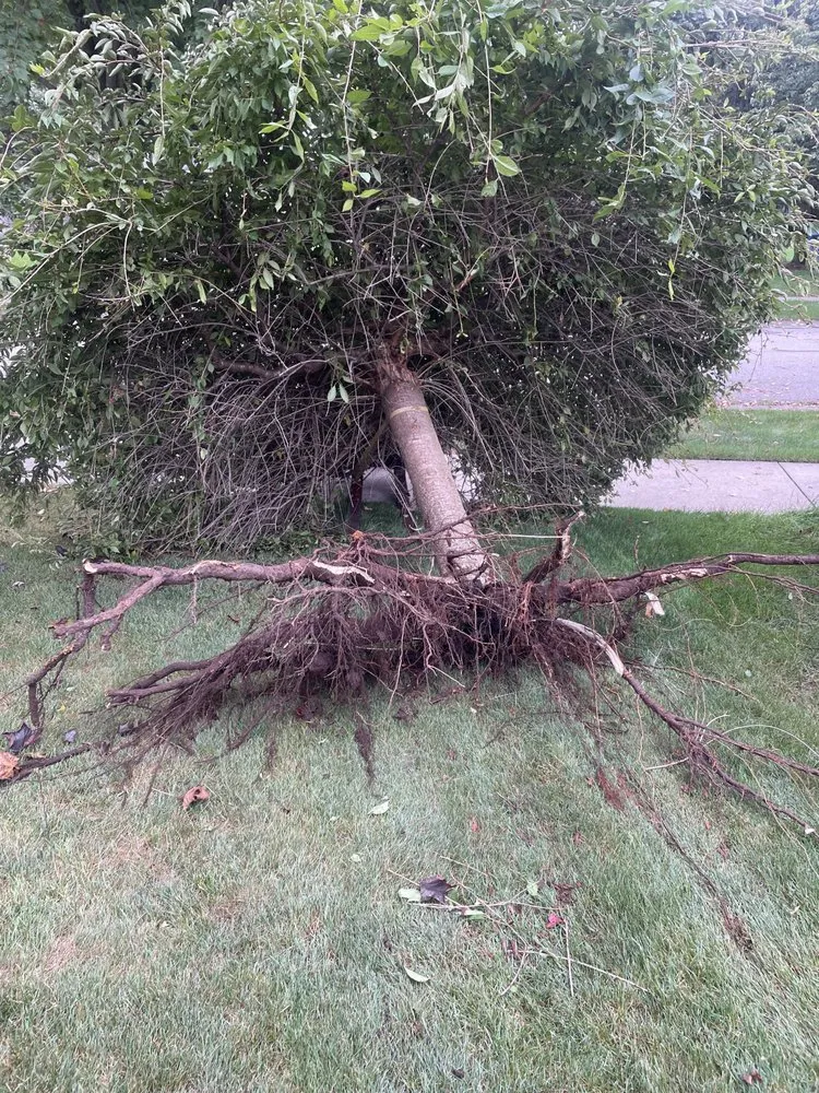 Trusted residential landscaping in Stanwood, MI by Wellman Yard And Home Services