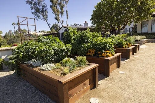 Reliable landscaping services near you across Encinitas, CA - Wellness Landscape