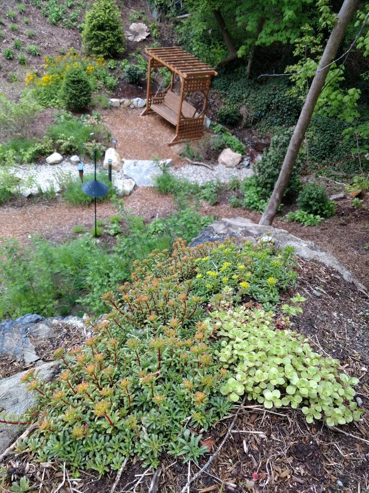 Reliable lawn care service with custom design across Haydenville, MA - Wellnesscapes Design
