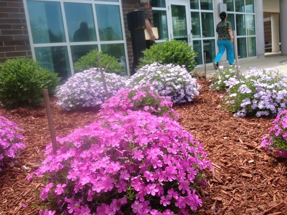 Custom outdoor landscaping in Haydenville, MA - Wellnesscapes Design