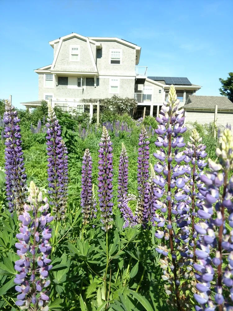 Custom garden landscaping experts serving Haydenville, MA - Wellnesscapes Design