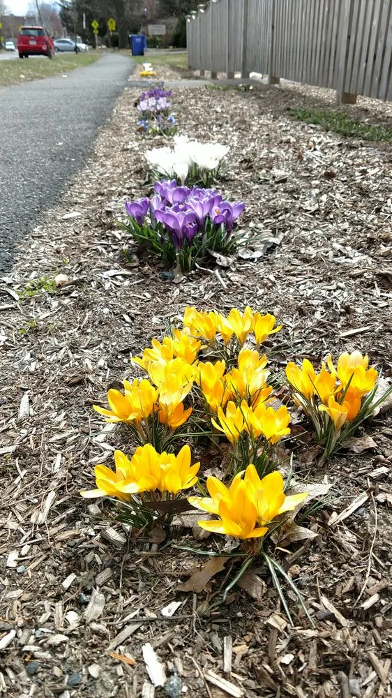 Expert landscape design for homes across Haydenville, MA - Wellnesscapes Design
