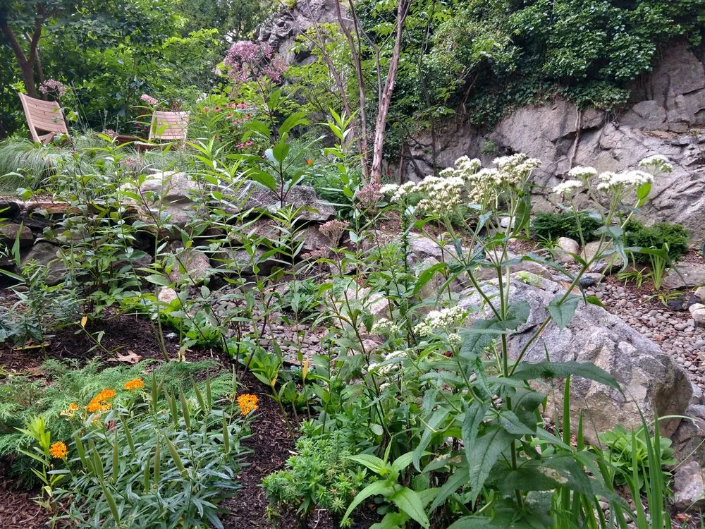 Custom landscape design for year-round maintenance in Haydenville, MA by Wellnesscapes Design