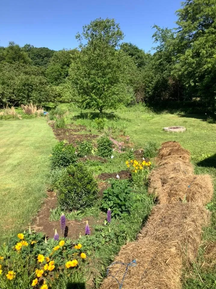 Professional landscape installation experts serving Haydenville, MA - Wellnesscapes Design