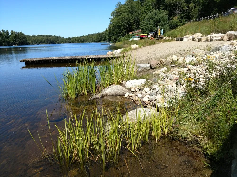 Reliable landscaping services for year-round maintenance in Haydenville, MA by Wellnesscapes Design