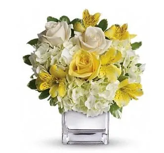 Local outdoor landscaping experts serving Sweeny, TX - Wells Florist, Nursery & Landscape