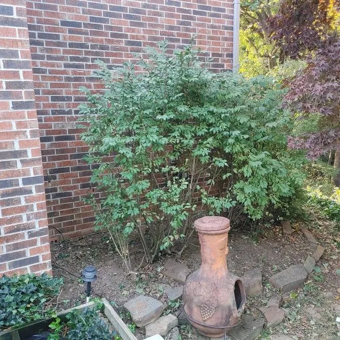 Trusted lawn mowing service in Tulsa, OK - Wells LandCare