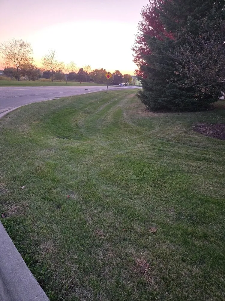 Expert landscape installation experts serving Butler, WI - Wells Landscaping