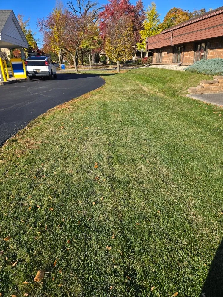 Local yard maintenance in Butler, WI - Wells Landscaping