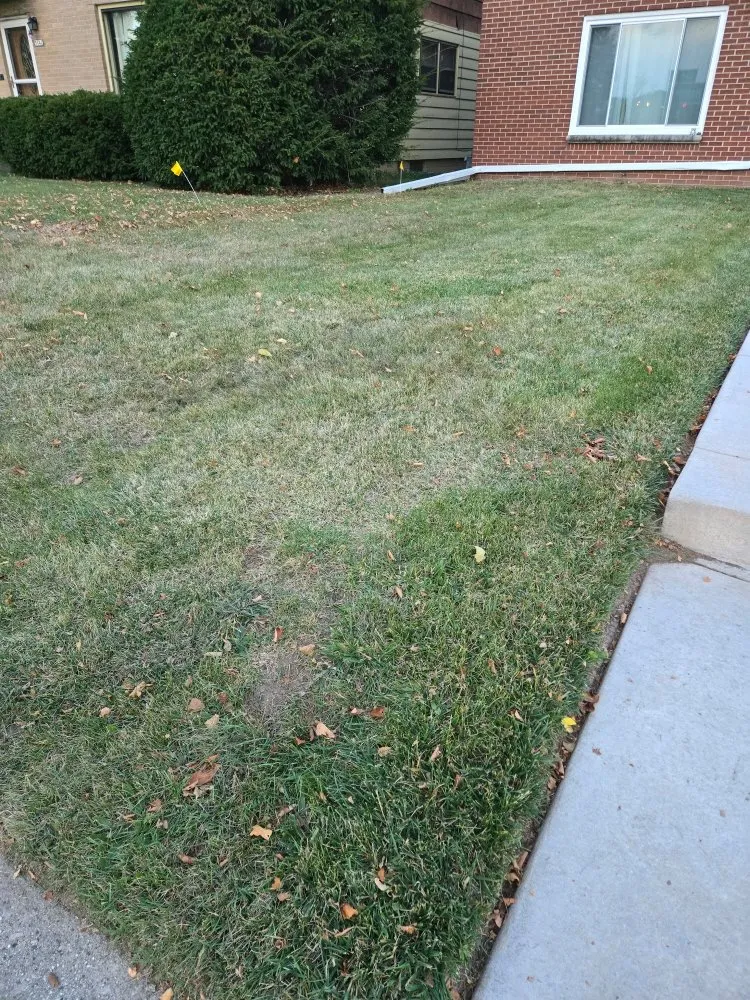 Top-rated yard maintenance near you in Butler, WI by Wells Landscaping