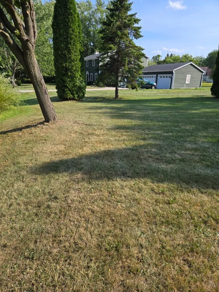 Trusted lawn care service for year-round maintenance across Butler, WI - Wells Landscaping