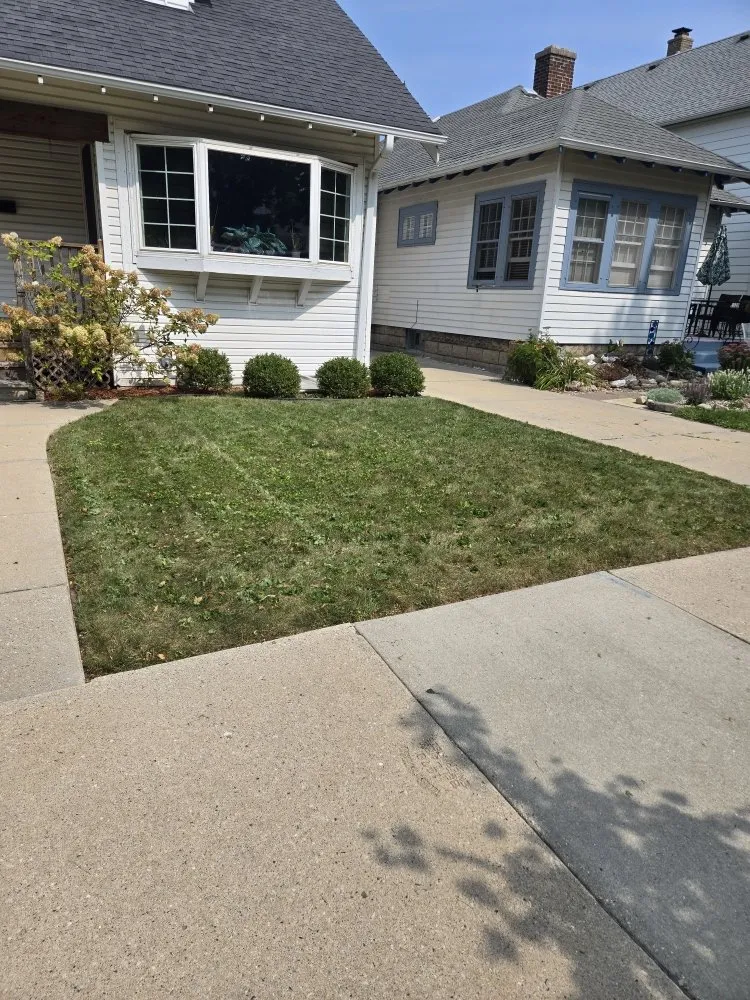 Expert yard cleanup service in Butler, WI - Wells Landscaping
