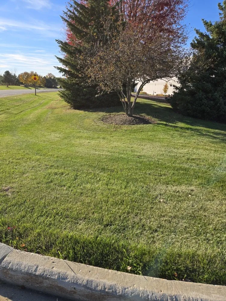 Custom residential landscaping for beautiful yards across Butler, WI - Wells Landscaping