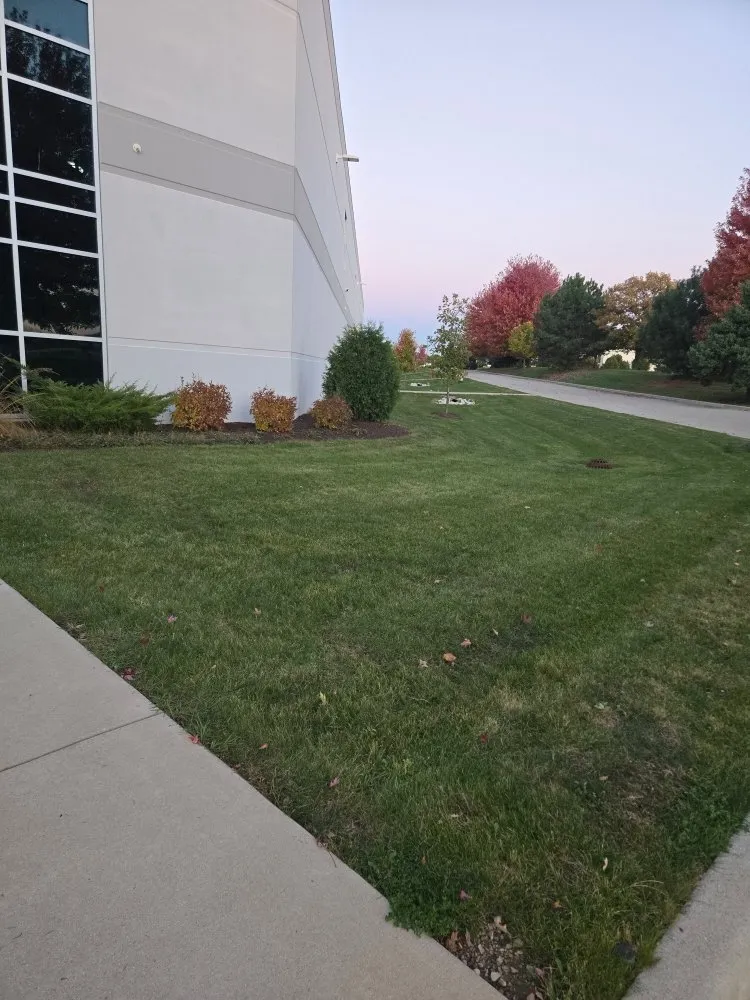 Affordable lawn mowing service in Butler, WI - Wells Landscaping