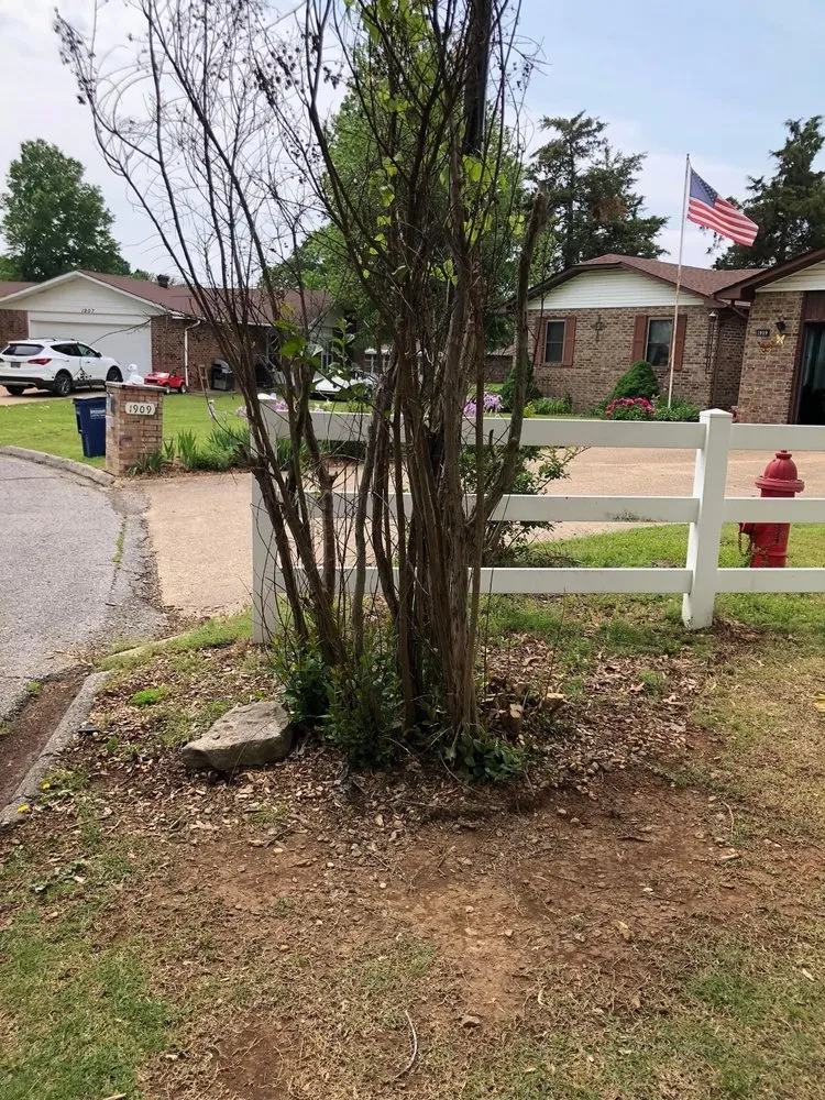 Professional yard maintenance with custom design across Mountain Home, AR - Wells Landscaping