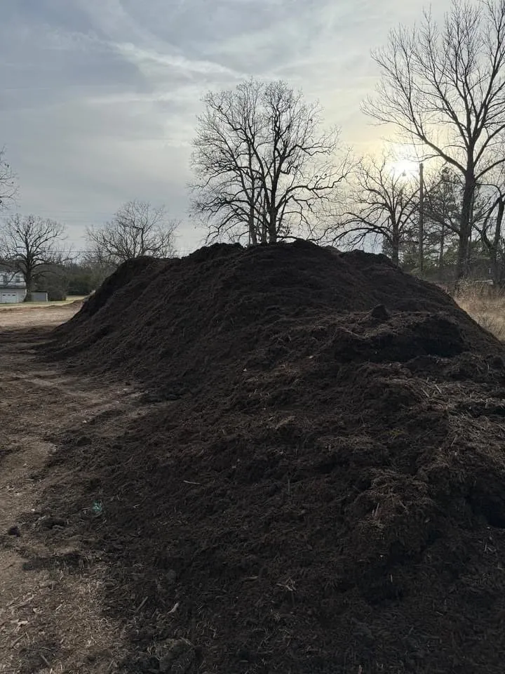 Expert garden landscaping for year-round maintenance across Mountain Home, AR - Wells Landscaping