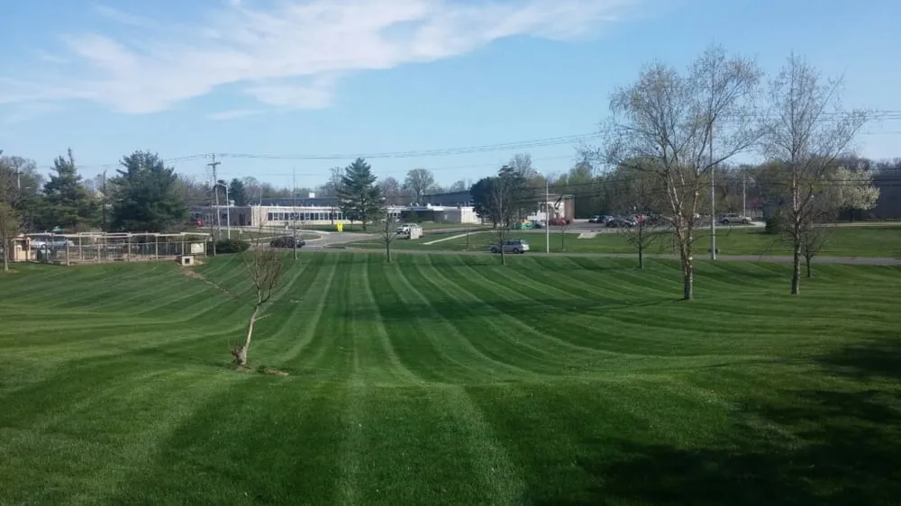 Custom yard cleanup service for outdoor upgrades across Bloomington, IN - Wells Lawn Care & Landscaping