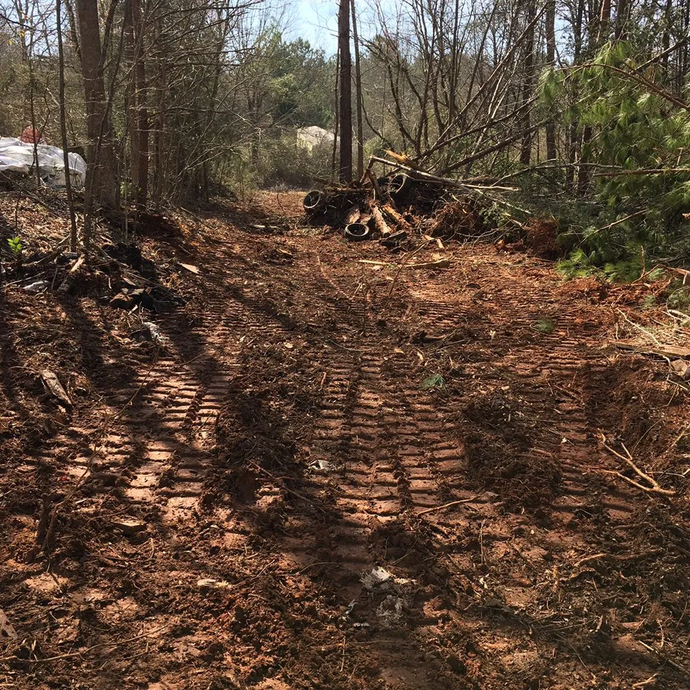 Custom residential landscaping for year-round maintenance across Lawndale, NC - Wells Property Scaping