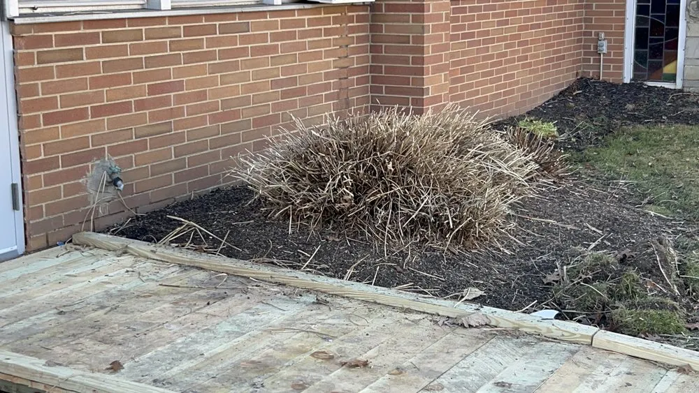 Professional landscaping services in Cleveland, OH by Wells Repair And Landscaping